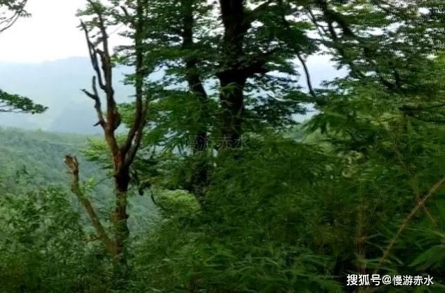 古剑奇谭